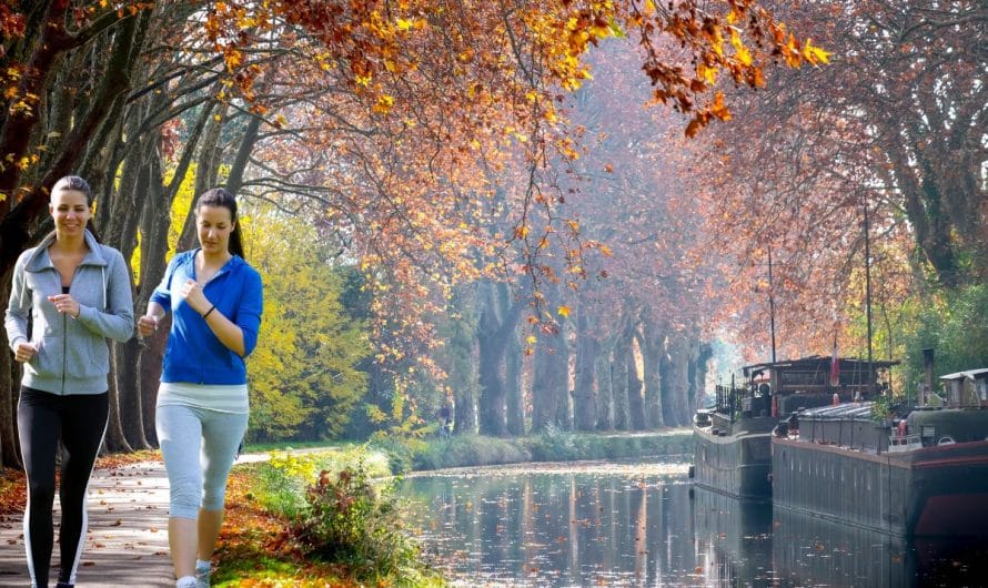 7 raisons de visiter le Canal du Midi : Paysages, Histoire et Magie