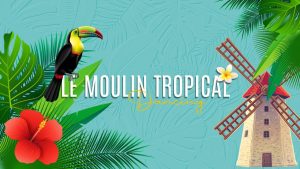 moulin tropical toulouse