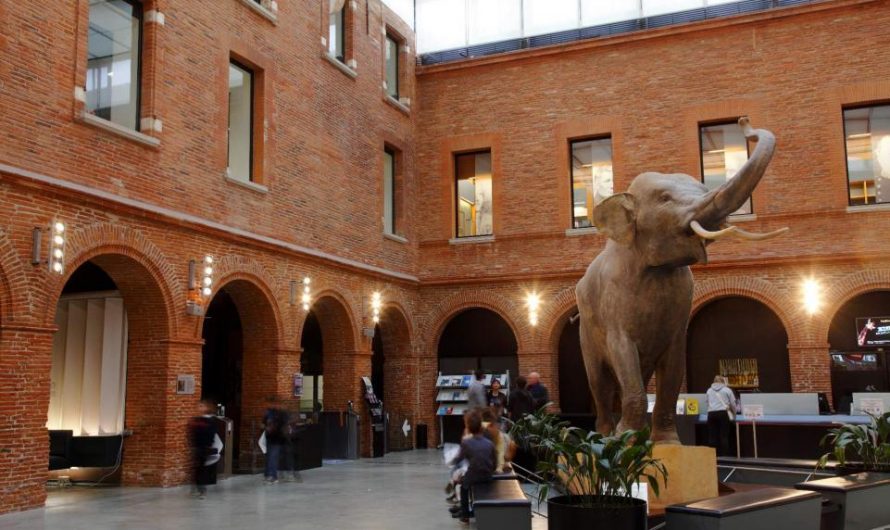 Musées Toulouse : découvrez notre top 5 de visites à faire absolument !