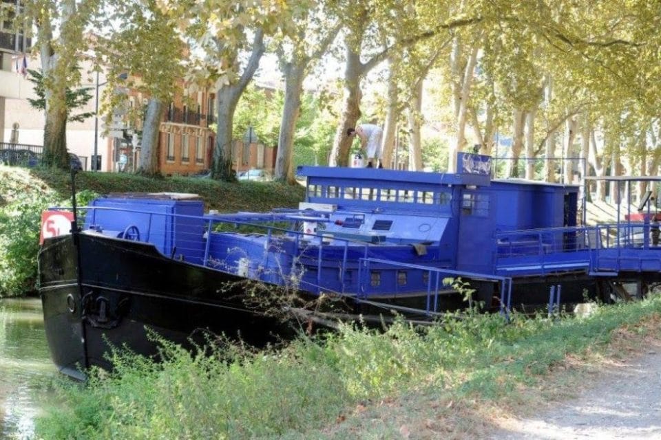 cri de la mouette toulouse