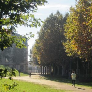 Jardin Niel Toulouse