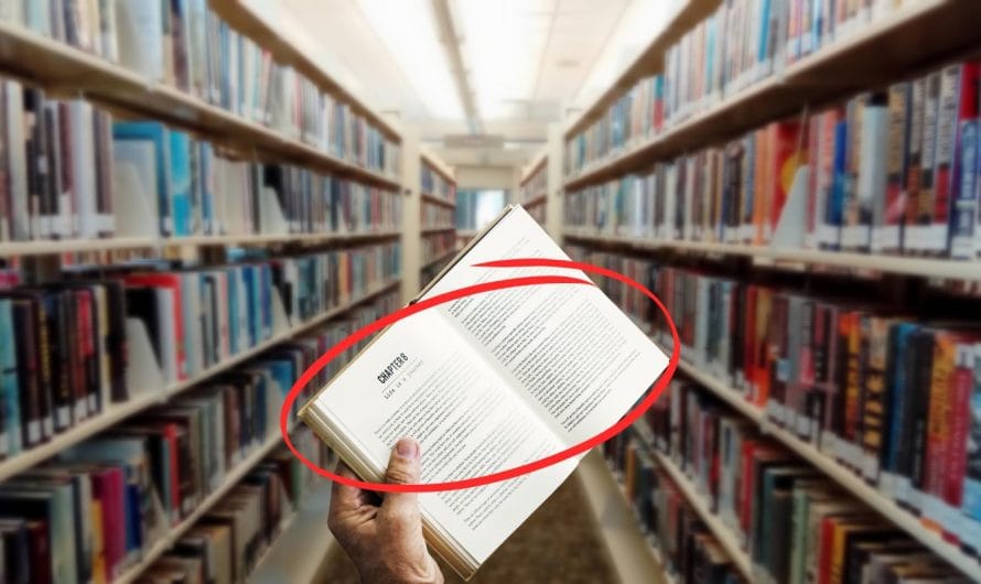 Les 5 meilleures librairies de Toulouse pour les passionnés de livres