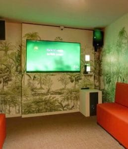 Karaoké à Toulouse : Chantez au Karioka