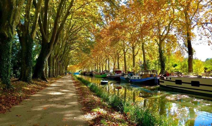 Où courir à Toulouse ? Top 5 des meilleurs lieux running à découvrir