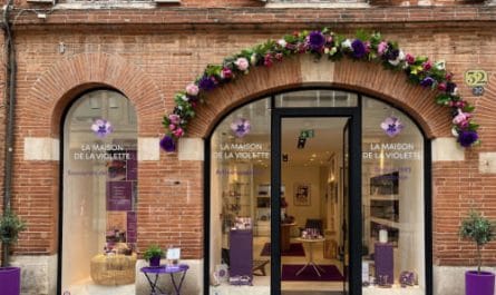 top 5 maison de violette toulouse