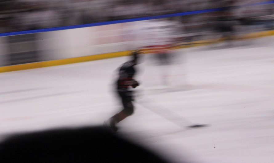 Hockey à Toulouse : les principaux clubs de glace et de roller hockey